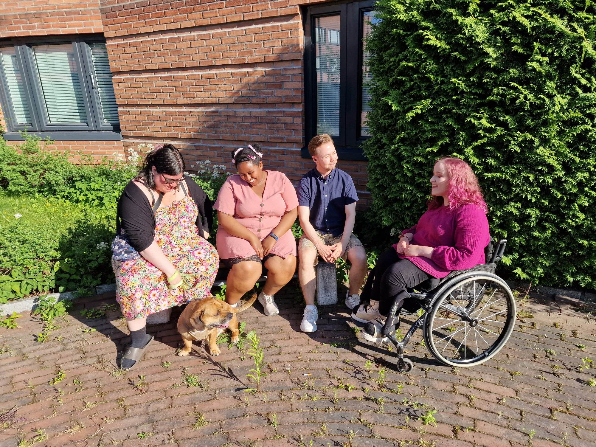 Four people sit together outside in the sunshine, smiling and chatting, with a dog beside them. One person uses a wheelchair.
