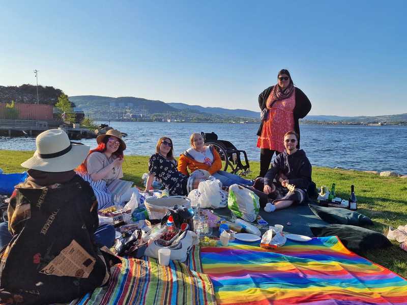 6 people are sitting on picnicblankets on a field of grass by the sea. There is food, drinks and a music speaker. Everyone is wearing sunglasses and sunhats. They are smiling and talking to eachother, sitting in a halfcricle, all facing each other. An empty wheelchair is behind one person.